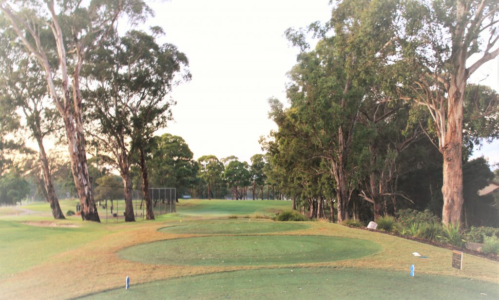 Social Golf - Cabramatta Golf Club