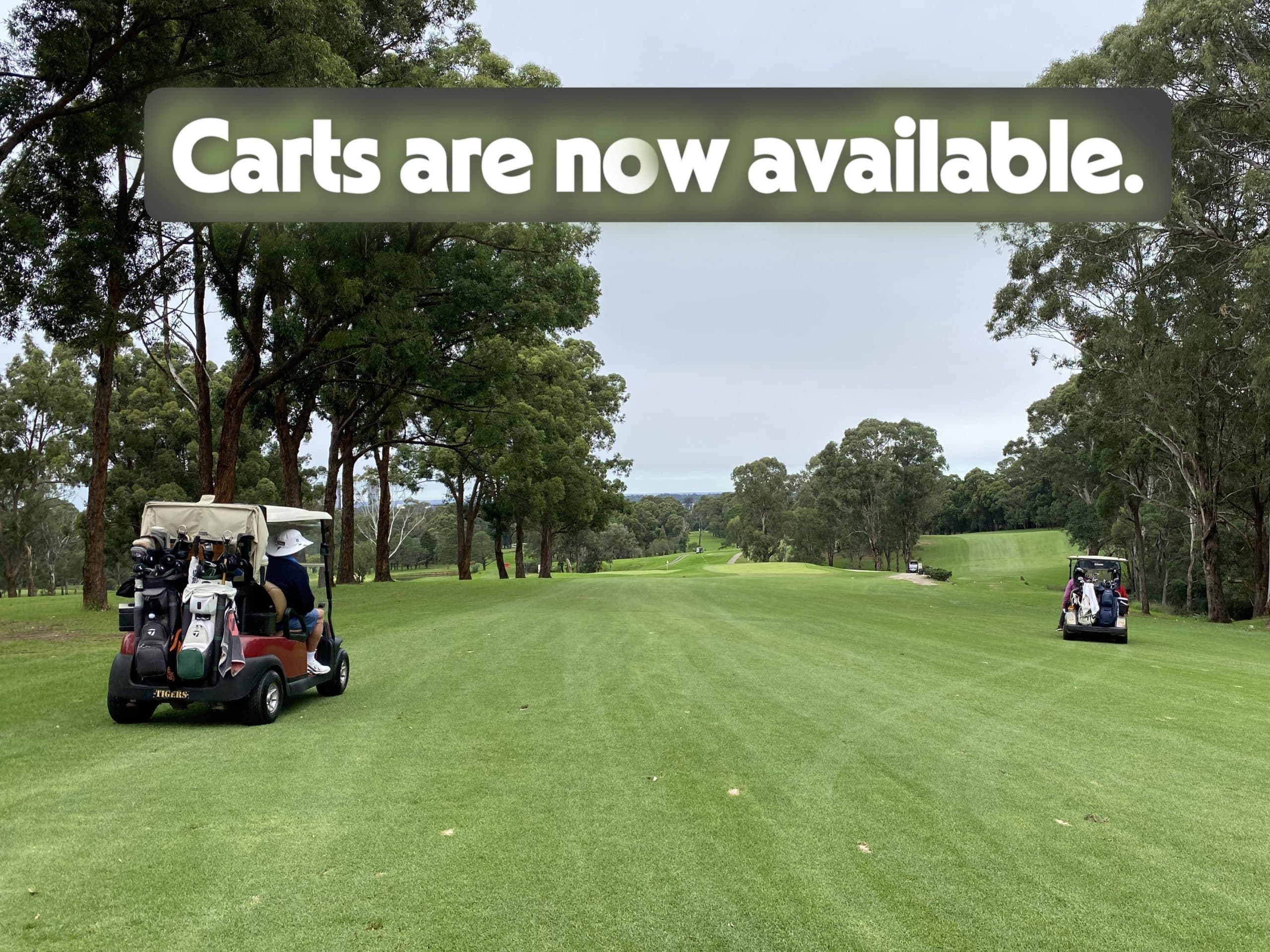 Golf Carts in use on Sunday 1 March 2026
