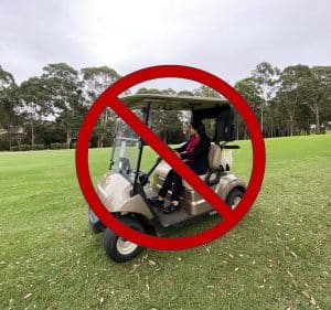 Carts are unavailable until further notice. Effective as of Tuesday, 19th August 2025.